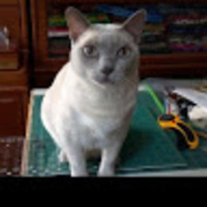 Meet your Posher, Mary